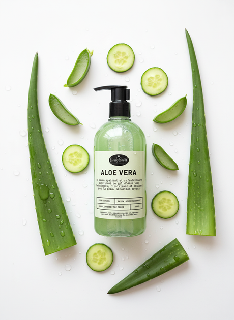 Aloe Vera Soap Flat Lay