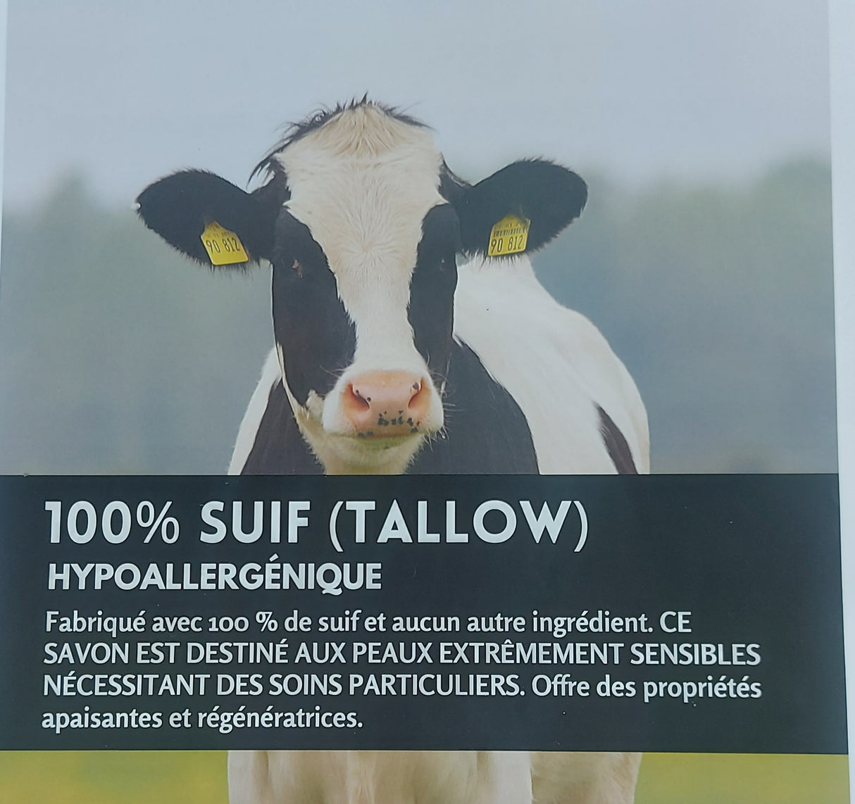 Savon 100% suif